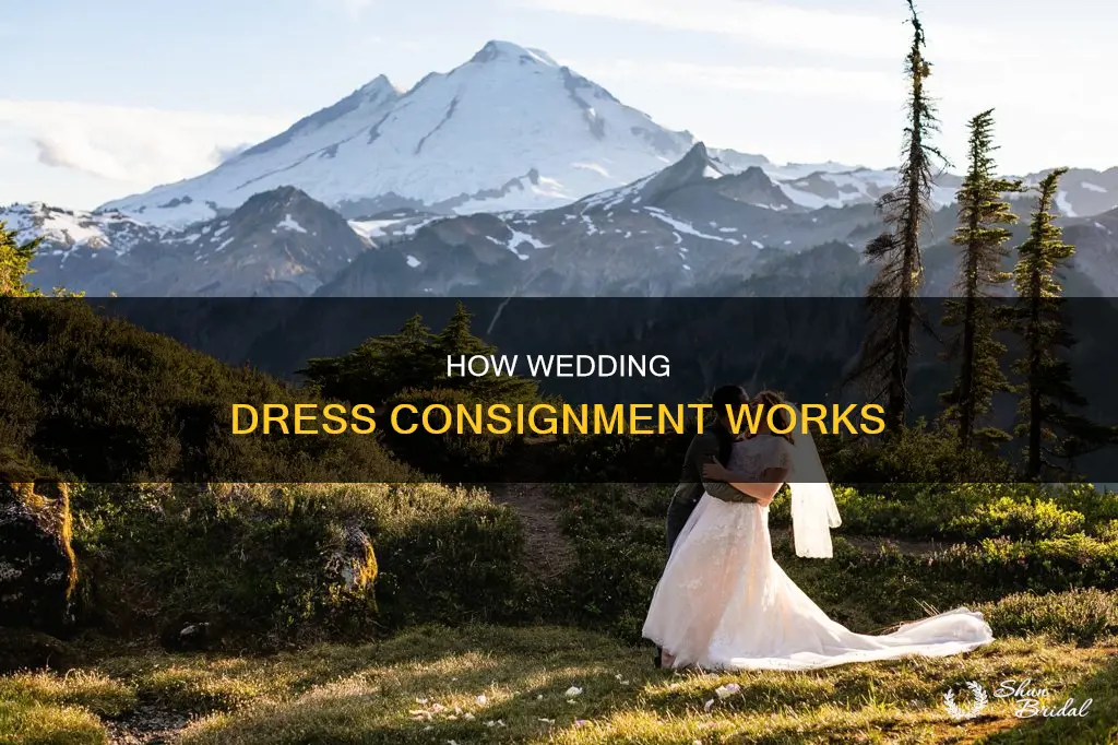 what does wedding dress consignment