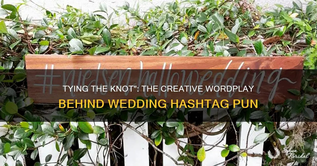 what does wedding hashtag pun mean