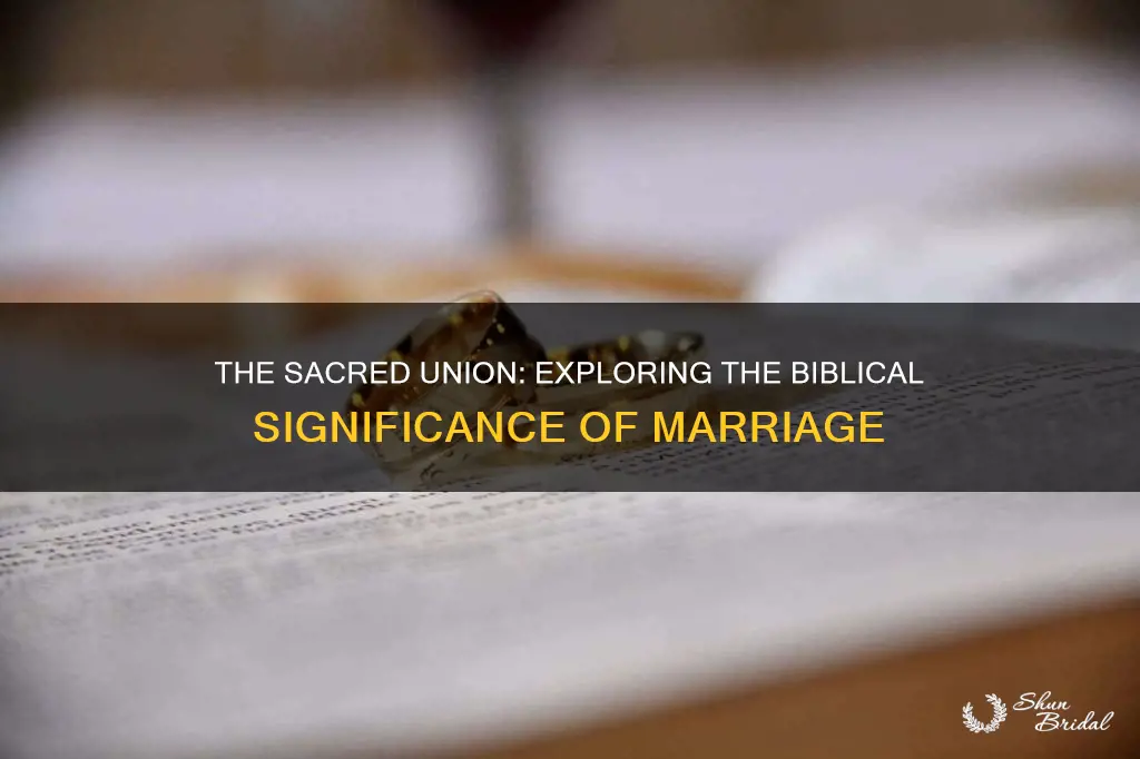 what does wedding mean in the bible