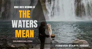 The Wedding of the Waters: A Historical Union