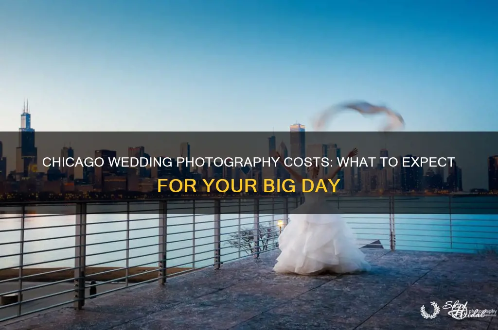 what does wedding photogrphy in Chicago go for