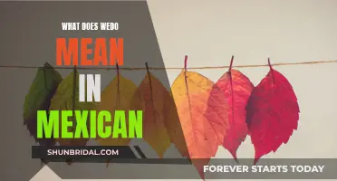 Wedo" in Mexican Slang: A Curious Twist on Greeting