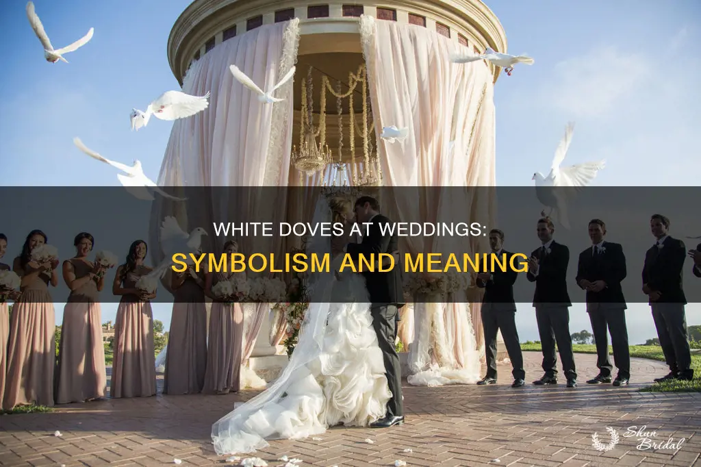 what does white doves at a wedding mean