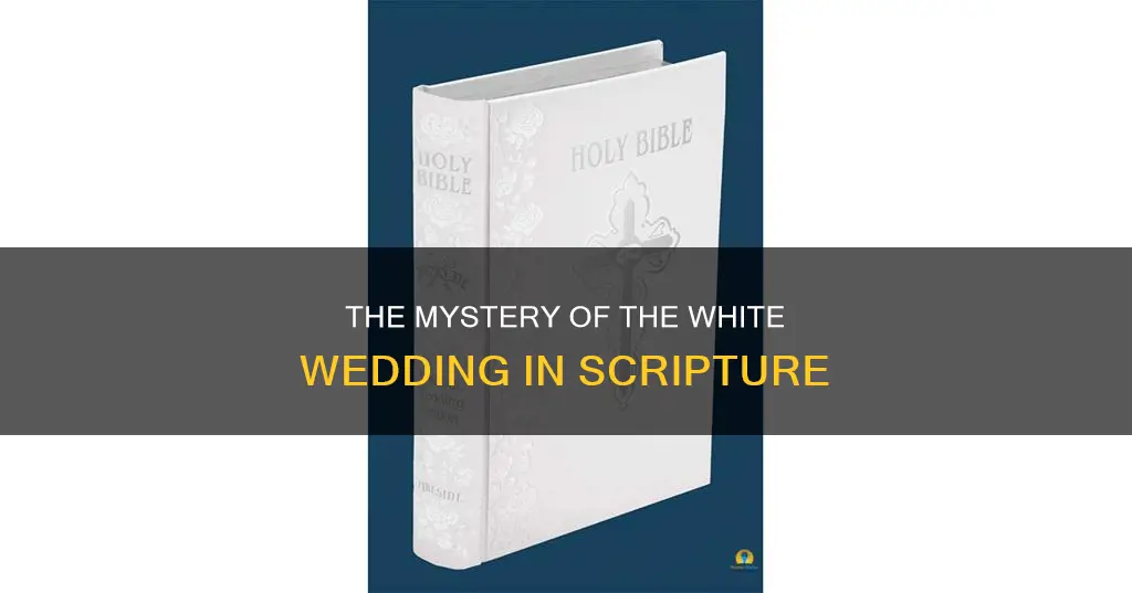 what does white wedding mean in the bible