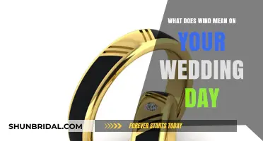 Wind on Your Wedding Day: Symbolism, Superstitions, and Sweet Meanings