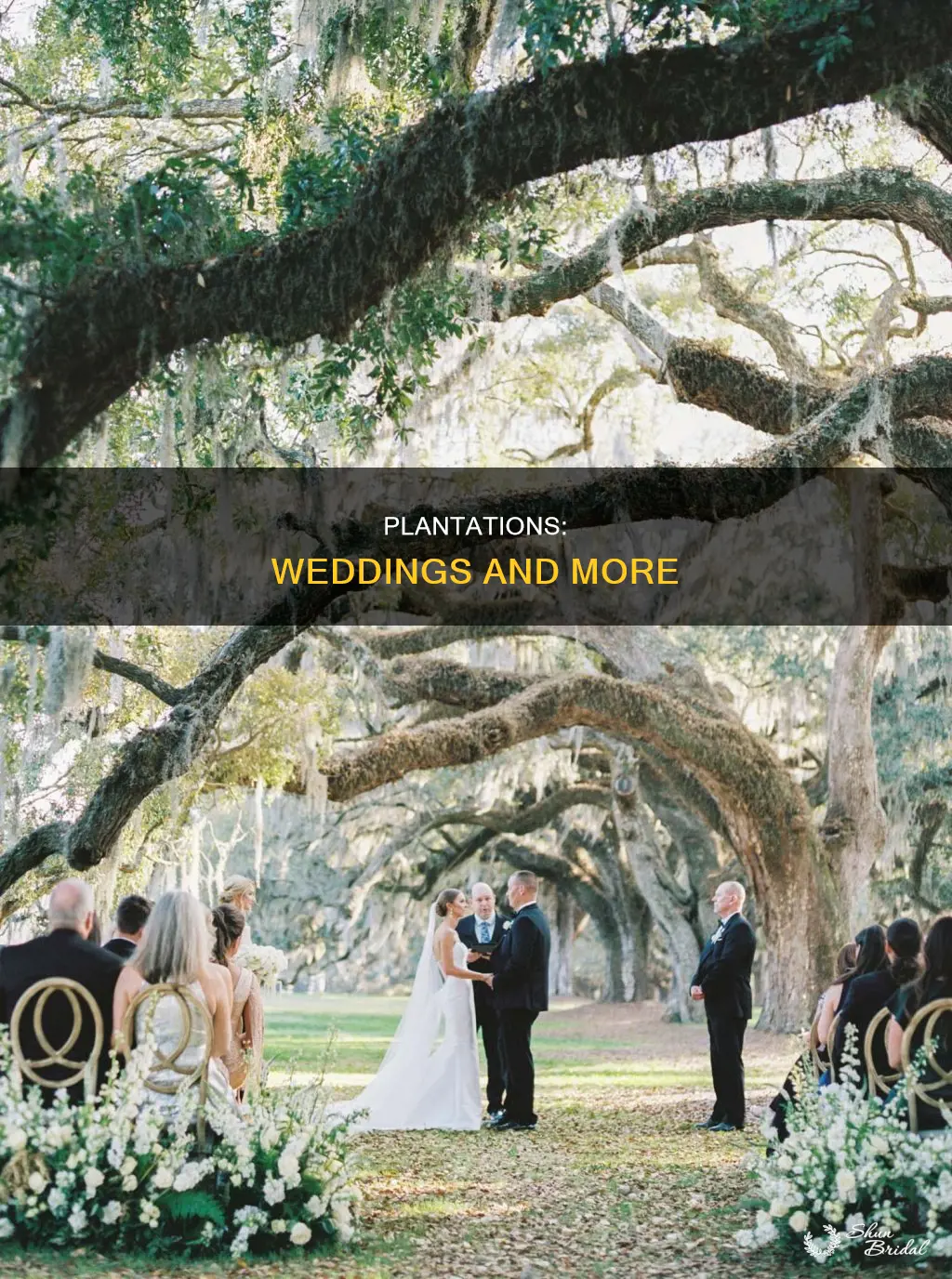 what dot hey use plantations for including weddings