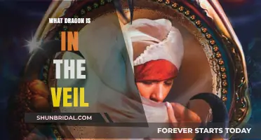 Unveiling the Mystery: Which Dragon Hides Behind the Veil?
