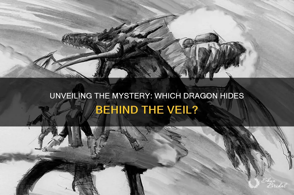 what dragon is in the veil