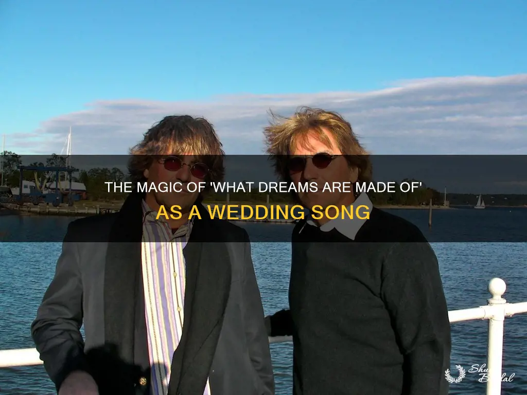 what dreams are made of wedding song