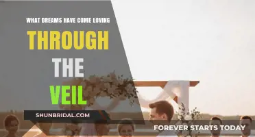 Loving Through the Veil: Unveiling the Dreams That Bind Us