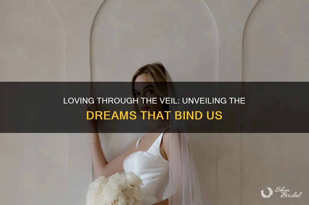 what dreams have come loving through the veil