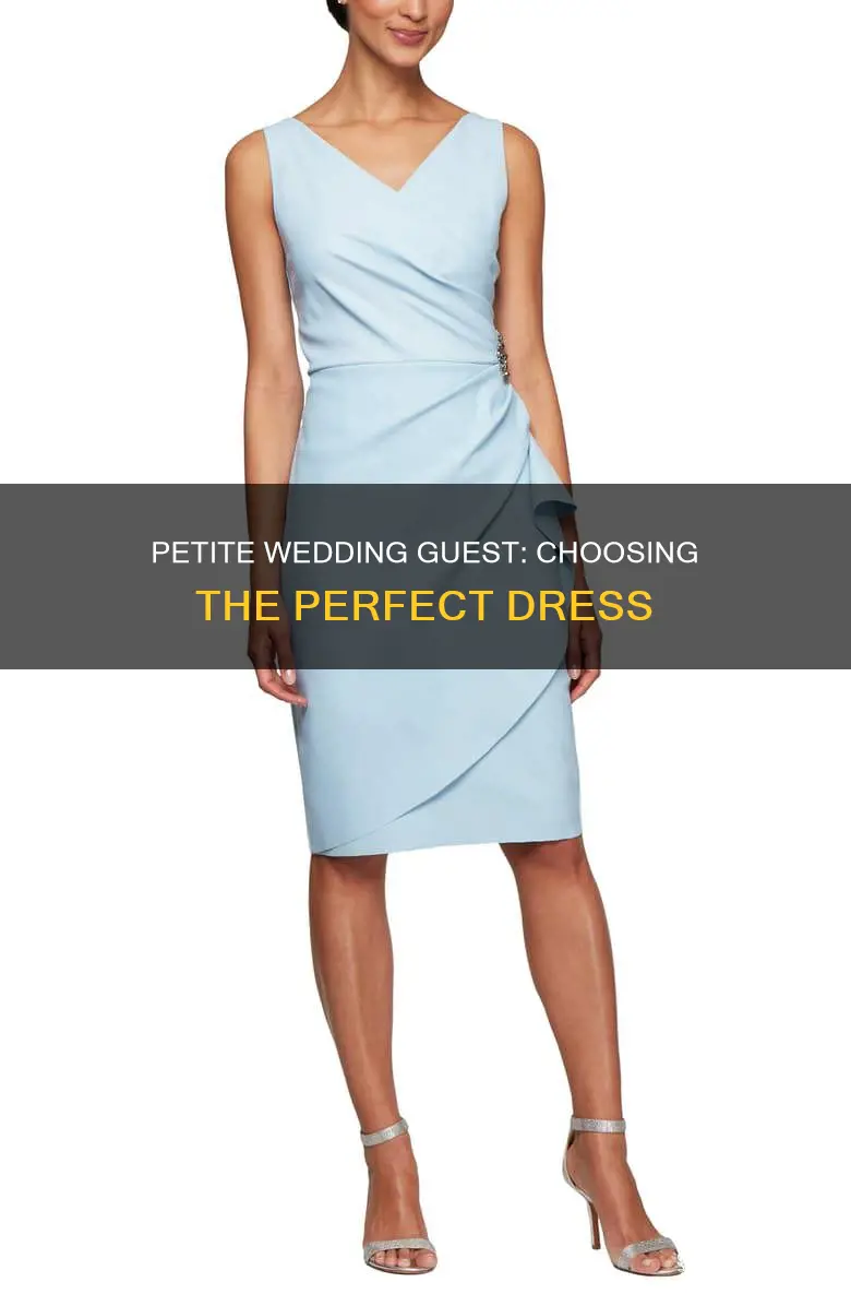 what dress should I wear to a wedding petite