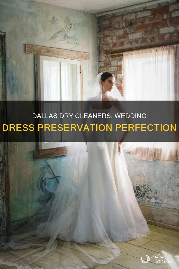 what dry cleaners do preserve a wedding dress in dallas