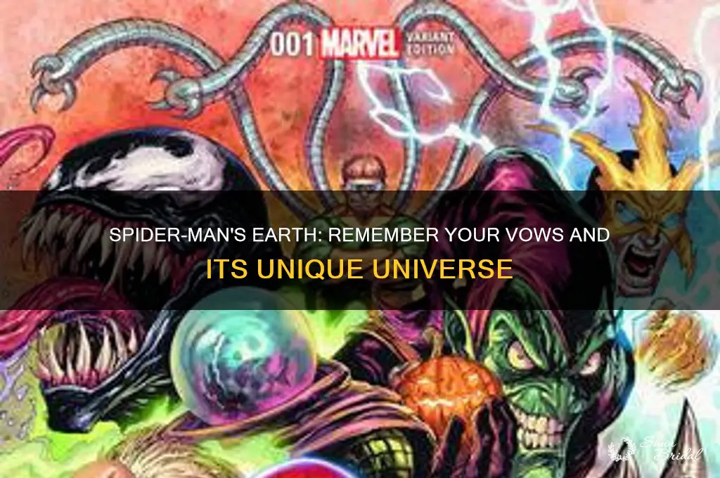 what earth does spider-man remember your vows take place on