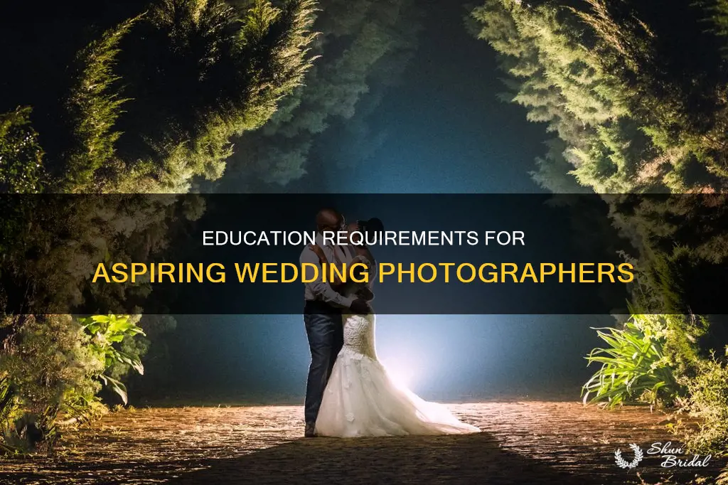 what education do you need for wedding photography