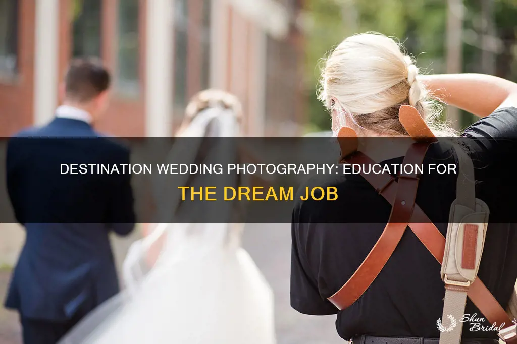 what education is needed to be a destination wedding photographer