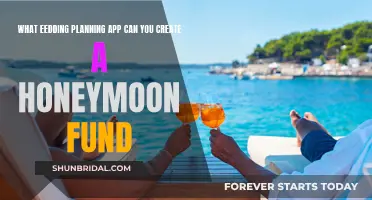 Honeymoon Fund: The Ultimate Wedding Planning App