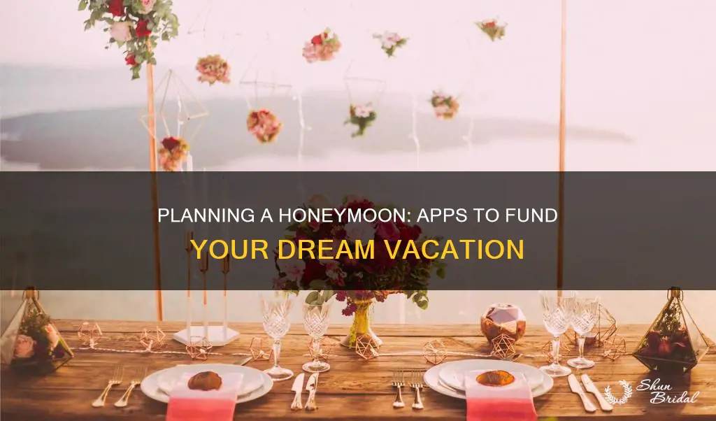 what eedding planning app can you create a honeymoon fund