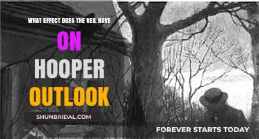 The Veil's Impact: Shaping Hooper's Perspective and Worldview