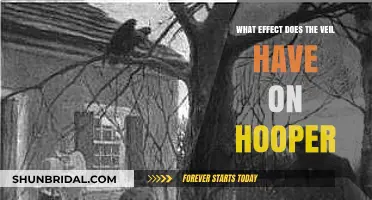 The Veil's Impact: Unraveling Hooper's Transformation and Isolation