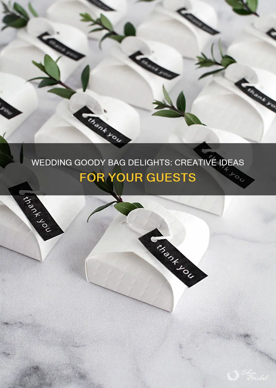 what else to put in goody bag wedding