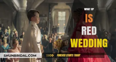 The Infamous Red Wedding Episode