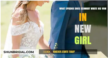 Schmidt's Heartfelt Vow Writing Episode in New Girl Revealed