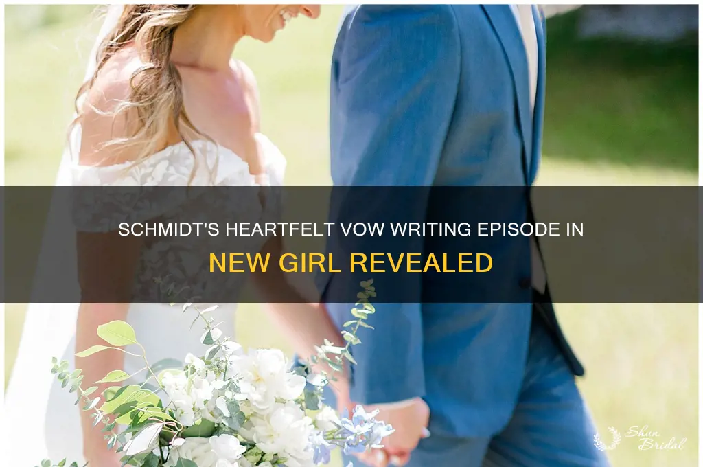 what episdoe does schmidt write his vow in new girl