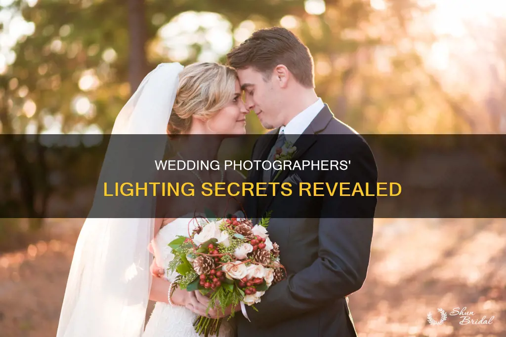 what external lighting are wedding photographers using