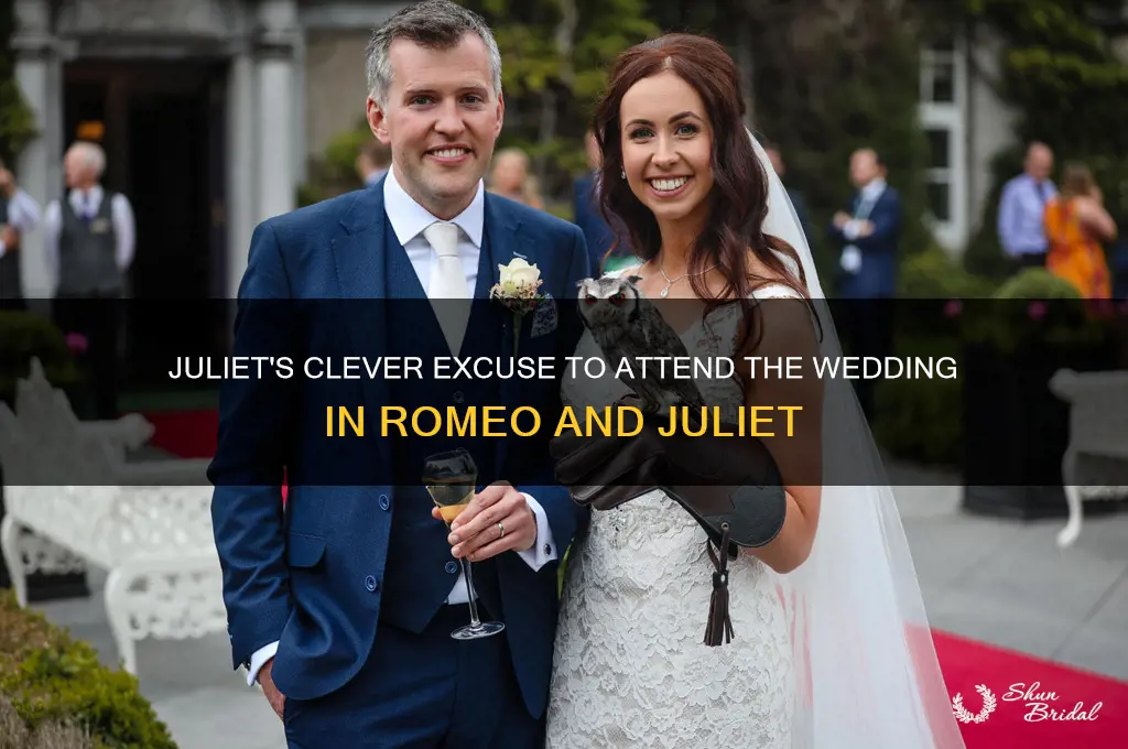 what exuse does juliet use to go to the wedding