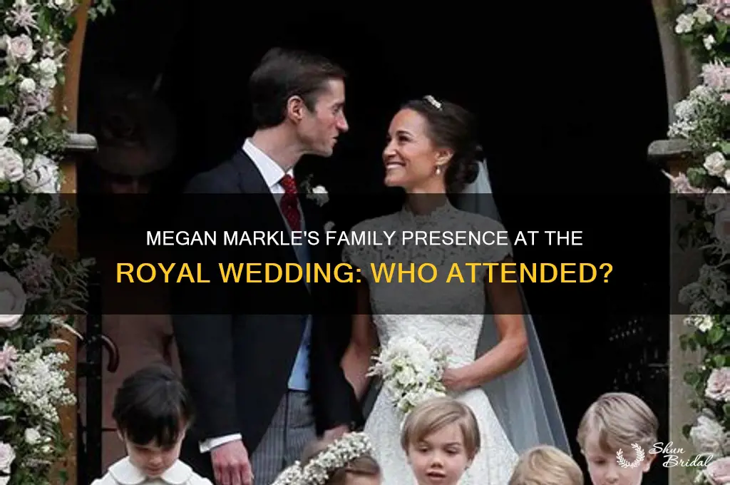 what family did megan markle have at the royal wedding