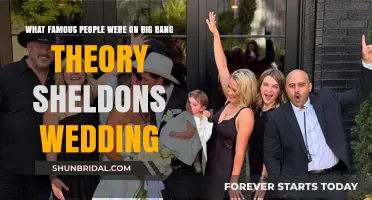 Famous Faces at Sheldon's Big Bang Theory Wedding Extravaganza