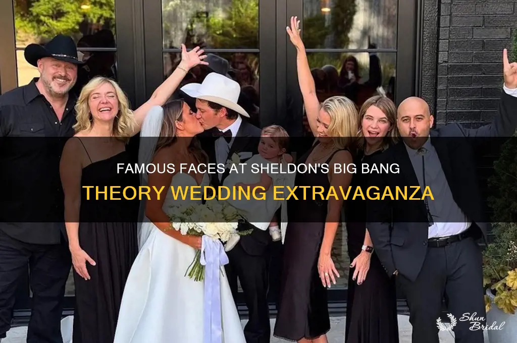 what famous people were on big bang theory sheldons wedding