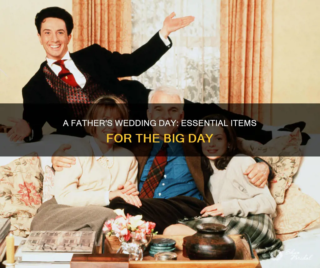 what father at the wedding needs