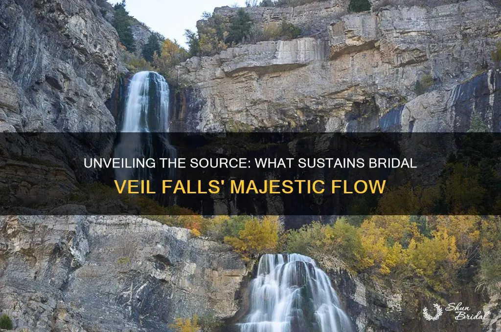 what feeds bridal veil falls