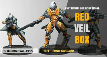Beyond Red Veil Box: Unveiling the Figures Inside