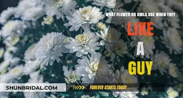 The Secret Language of Flowers: What Girls Use to Show Affection