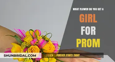 Perfect Prom Flowers: Choosing the Right Bloom for Your Date