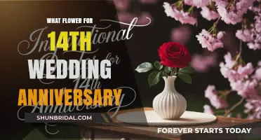 Celebrate 14 Years of Love with the Perfect Anniversary Flower