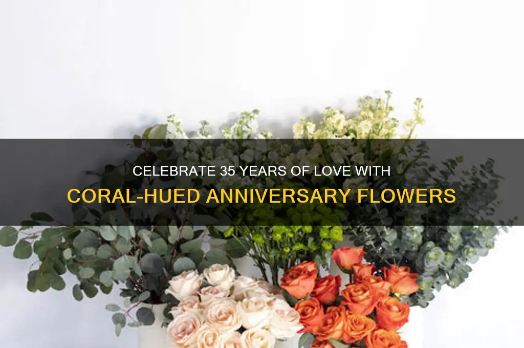 what flower for 35th wedding anniversary