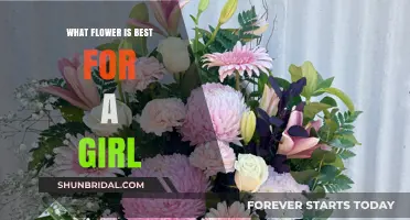 Choosing the Perfect Flower for Her: A Guide to Thoughtful Gifting