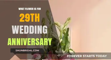 Celebrate 29 Years of Love with Lilies: The Perfect Anniversary Flower