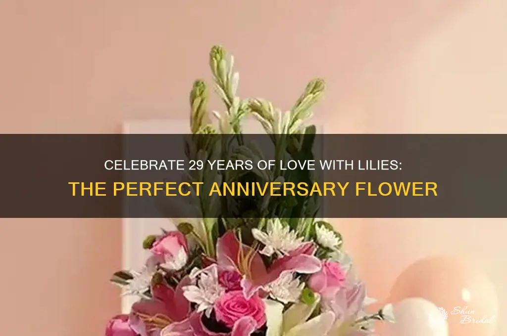 what flower is for 29th wedding anniversary
