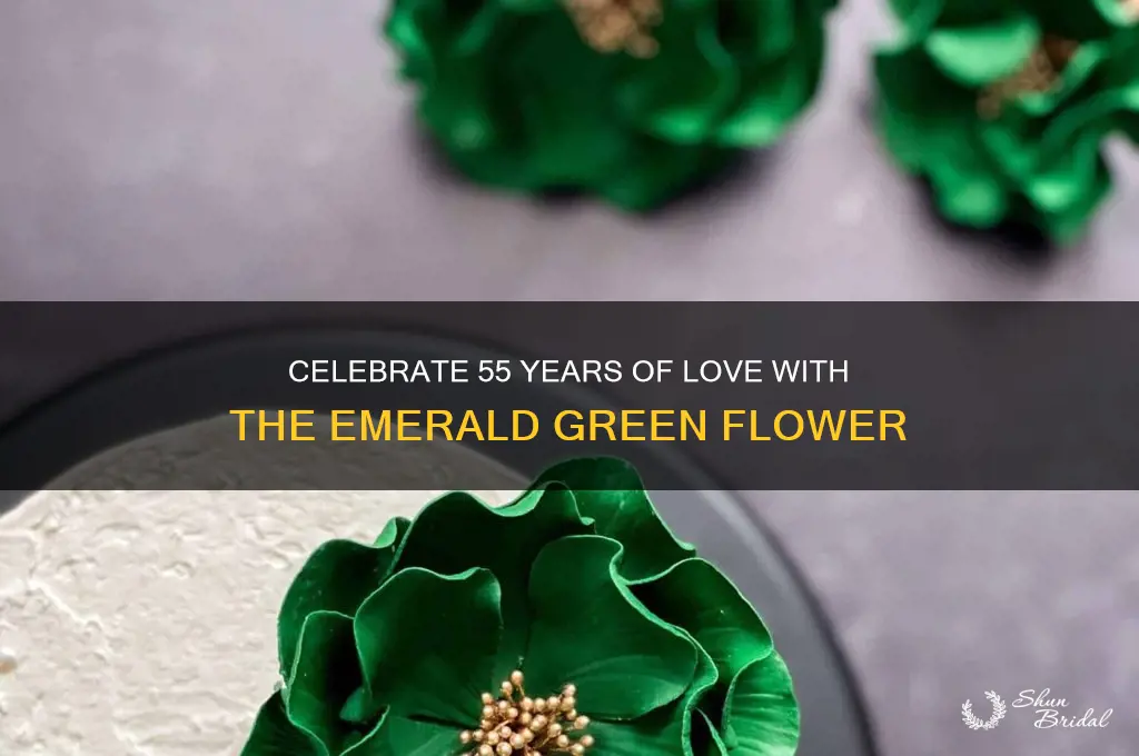 what flower is for 55th wedding anniversary
