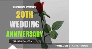 Celebrating 20 Years of Love: The Perfect Flower for Your Anniversary