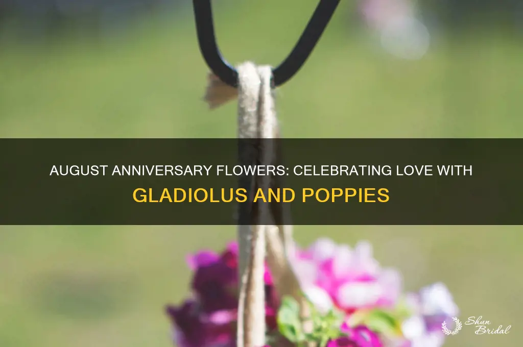 what flower represents an august wedding anniversary