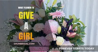 Choosing the Perfect Flower to Give a Girl: A Thoughtful Guide