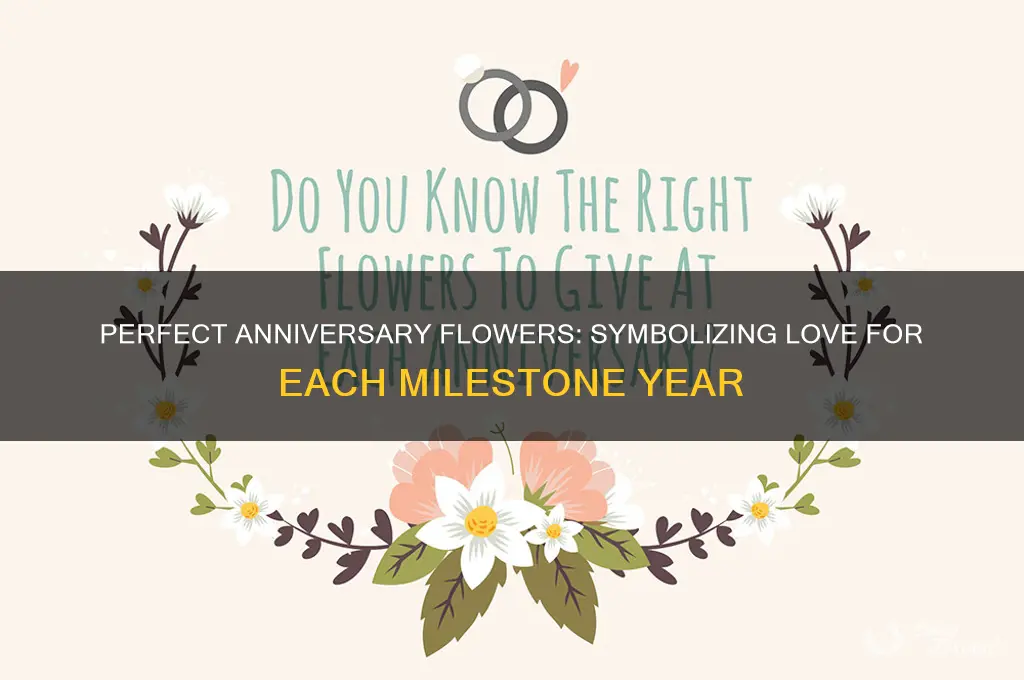 what flowers are appropriate for wedding anniversary