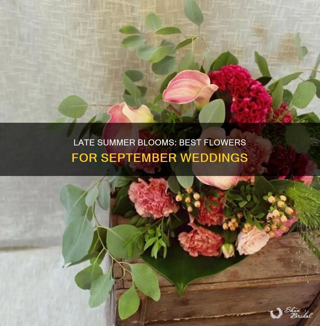 what flowers are good for september wedding