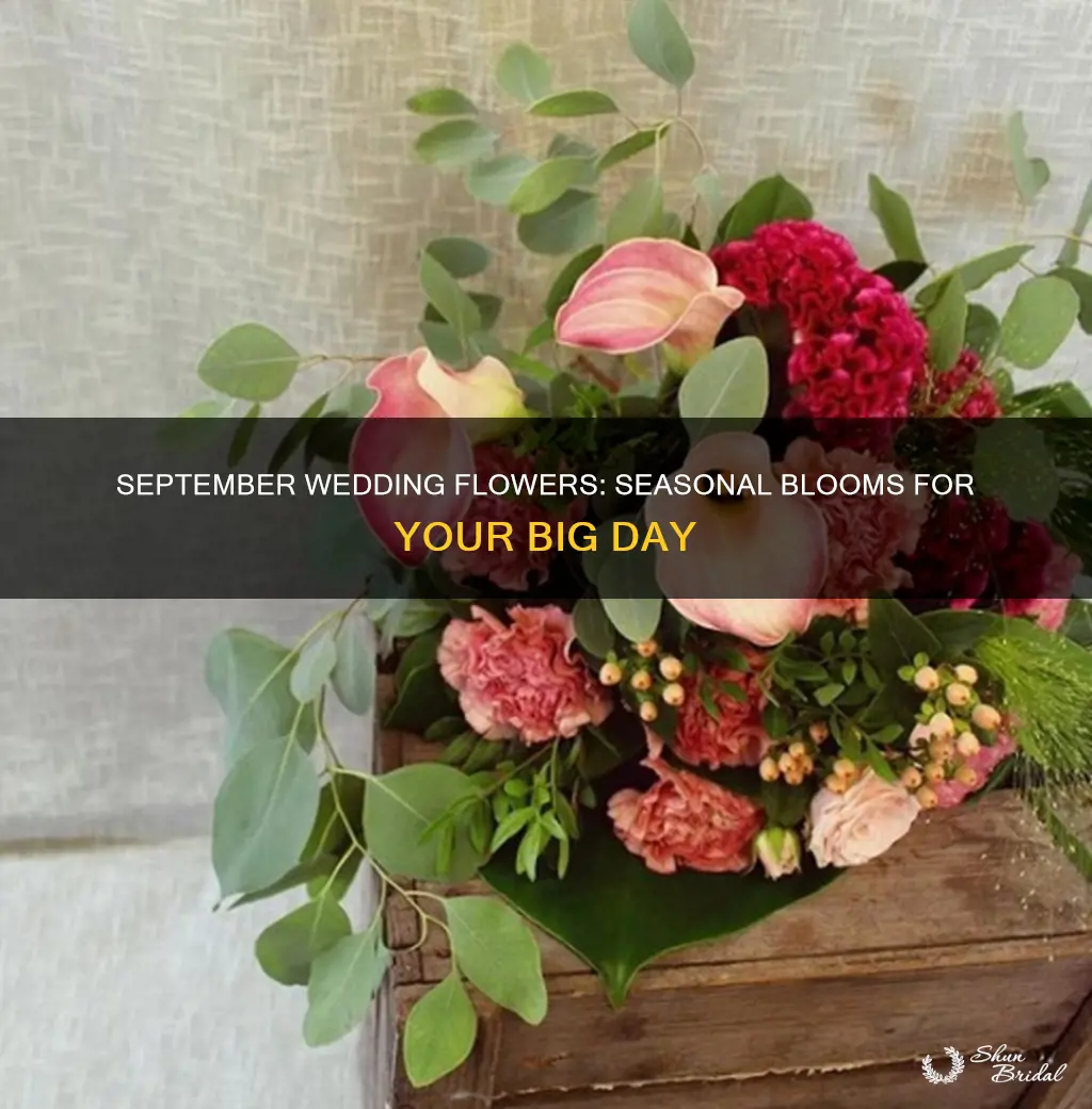 what flowers are in bloom in September for weddings